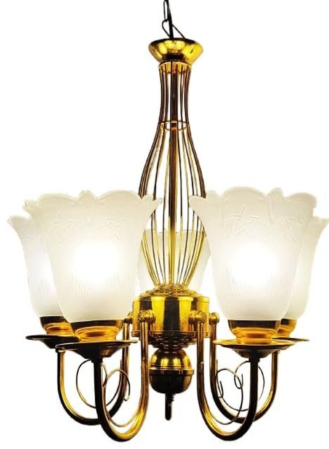 Weldecor 5 Light lamp Chandelier for Home Decorative Ceiling Hanging jhoomer for Home Living Room and Hall (Style3) - Image 3